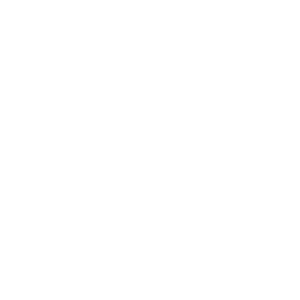LOGO OLV 2026